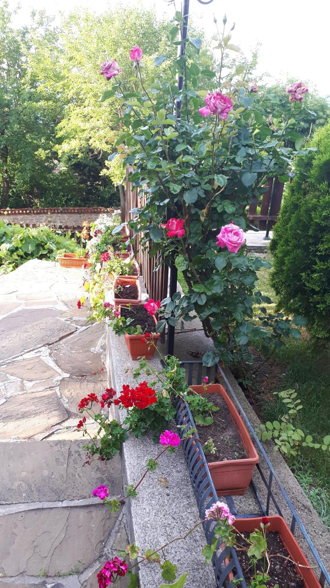 Guest House Zarkova Kushta Zheravna Exterior photo